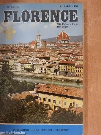 Florence and its hills