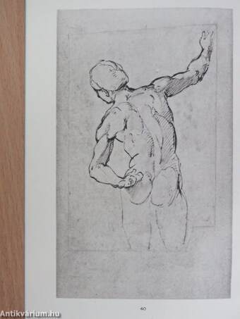 Catalogue of Drawings and Pictures by Old Masters