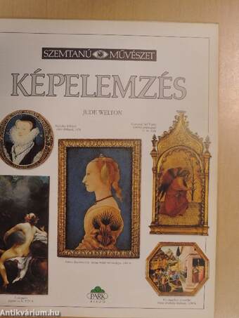 Képelemzés