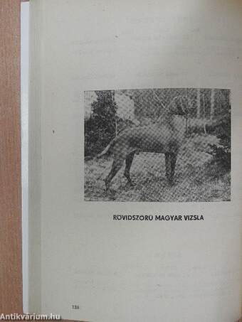 Nemzetközi F. C. I. CACIB Kutyakiállítás Katalógusa és Programja 1980. szeptember 28.