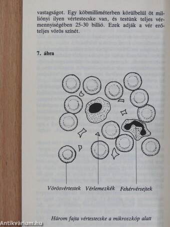 A magányosság terhe és annak legyőzése/Az ember értéke/Az istenhit logikája