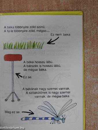 Amit a békákról feltétlenül tudni kell