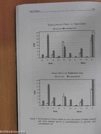 Soil Pollution