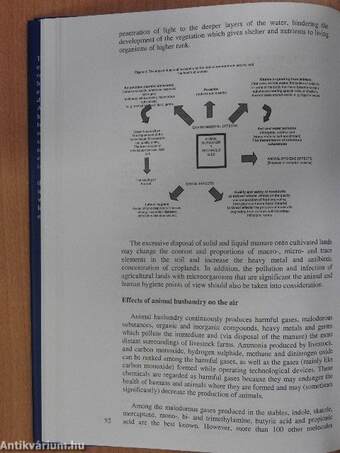 Pollution Processes in Agri-Environment