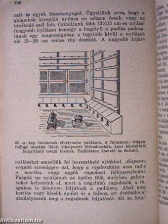 A baromfitenyésztés elmélete és gyakorlati útmutatásai