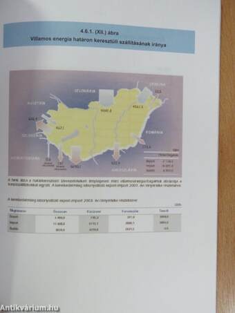 Villamos Energia Statisztikai évkönyv 2003