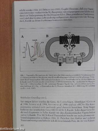 Deutsche Akademie der Naturforscher Leopoldina Jahrbuch 2004