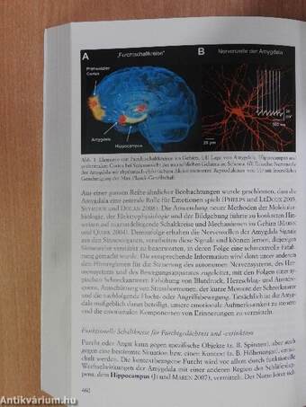 Deutsche Akademie der Naturforscher Leopoldina Jahrbuch 2008