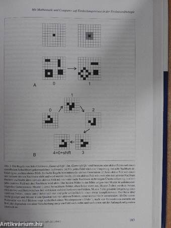 Computermodelle in der Wissenschaft - zwischen Analyse, Vorhersage und Suggestion - DVD-vel