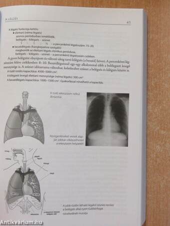 Beszédtechnikai gyakorlókönyv