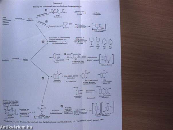 Lehrbuch der Bodenkunde