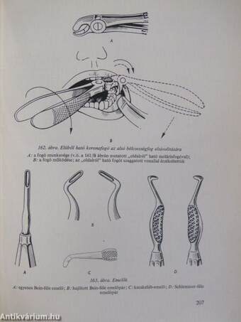 Stomatologia