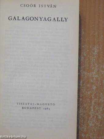 Galagonyagally