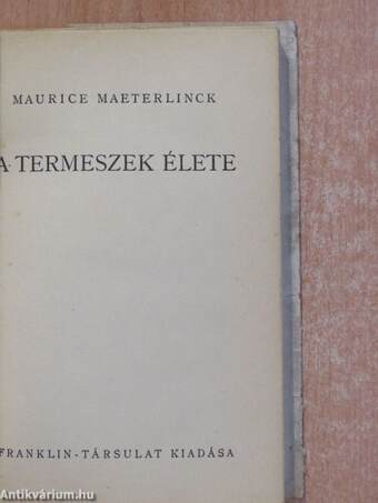 A termeszek élete