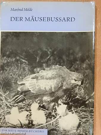 Der Mäusebussard