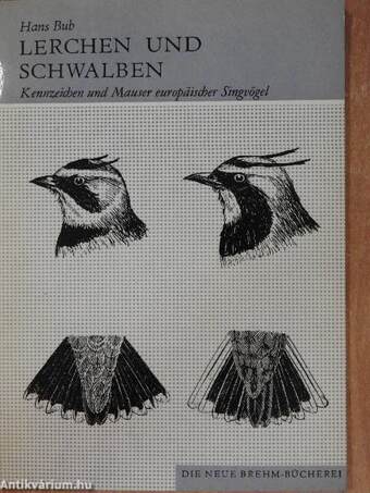 Lerchen und Schwalben