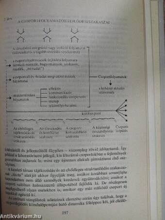 Közösségi társadalomeszmény és valóság