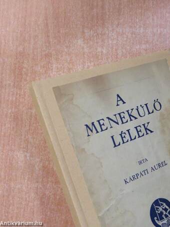 A menekülő lélek