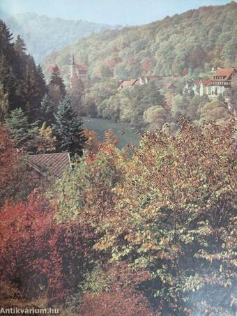 Der Harz und sein Handwerk