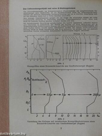 Die Bedeutung des Kaliums im Boden