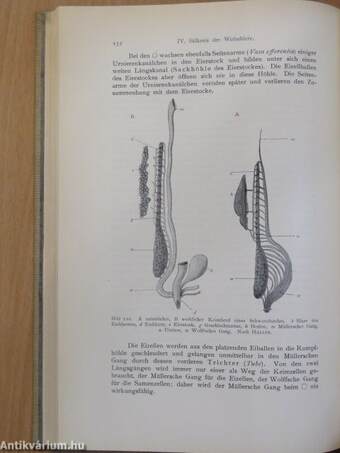 Einführung in die Tierkunde