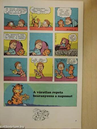 Garfield 1993/1. január