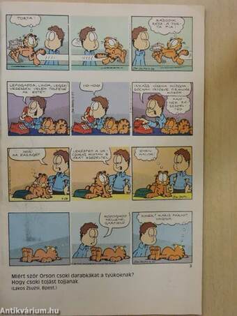 Garfield 1995/6. június