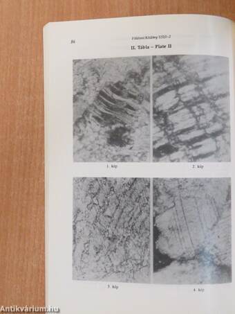 Földtani Közlöny 1995/1-4.