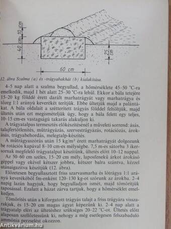 Az uborka termesztése