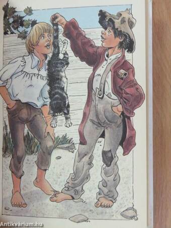 Les Aventures de Tom Sawyer