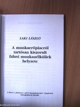 A munkaerőpiacról tartósan kiszorult falusi munkanélküliek helyzete