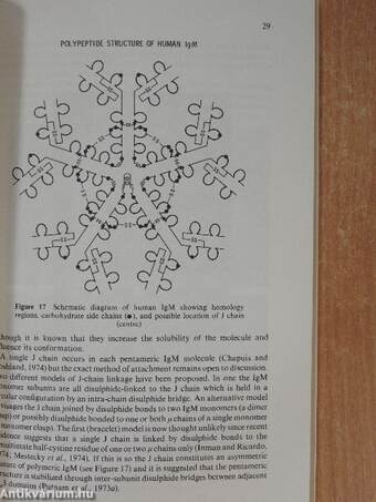 Structure and Function of Antibodies