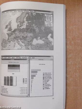 Földrajzi Közlemények 1995/1-4.