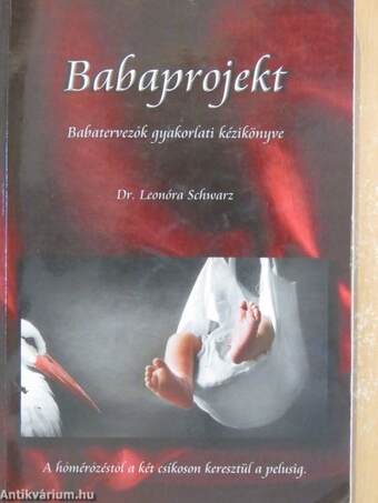 Babaprojekt