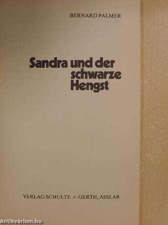 Sandra und der schwarze Hengst