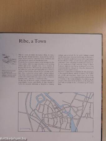 RIBE through 1000 years