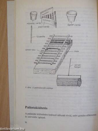 Zöldségtermesztés II.