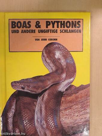 Boas & Pythons und andere ungiftige Schlangen