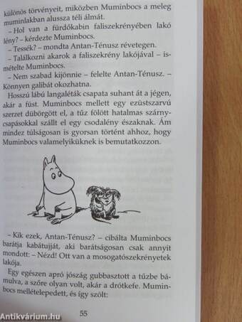 Titokzatos tél a Mumin-völgyben