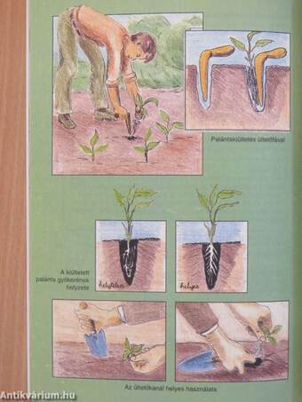 Technika - Agrotechnika 11-12 éveseknek