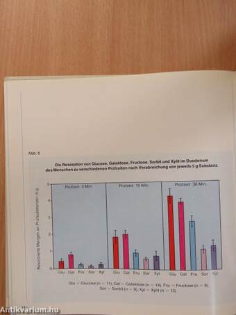 Diabetes im Bild