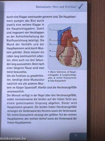 Herzinfarkt vorbeugen und behandeln