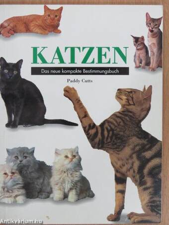 Katzen