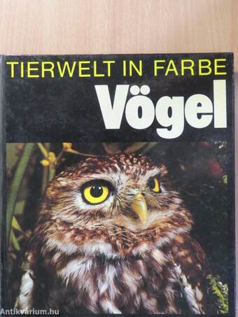 Vögel