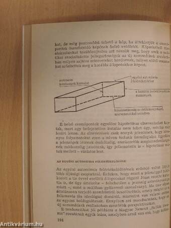 A magyar ifjúság a nyolcvanas években