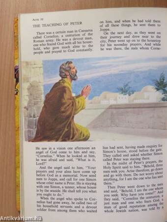 The children's Bible in colour