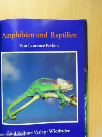 Amphibien und Reptilien