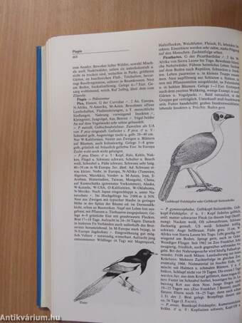 Lexikon der Vogelhaltung