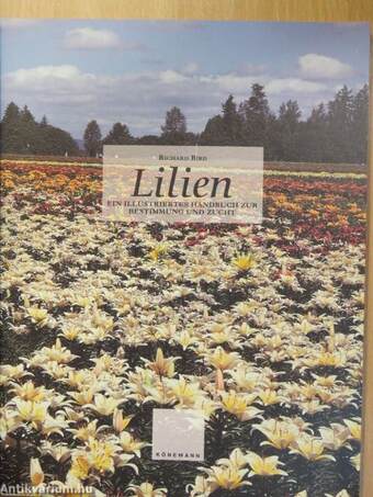 Lilien