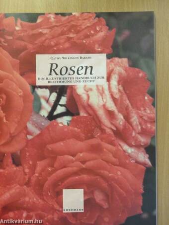 Rosen